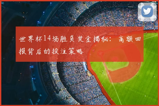 世界杯14场胜负奖金揭秘:高额回报背后的投注策略