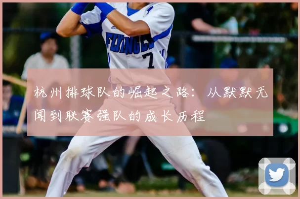 杭州排球队的崛起之路:从默默无闻到联赛强队的成长历程