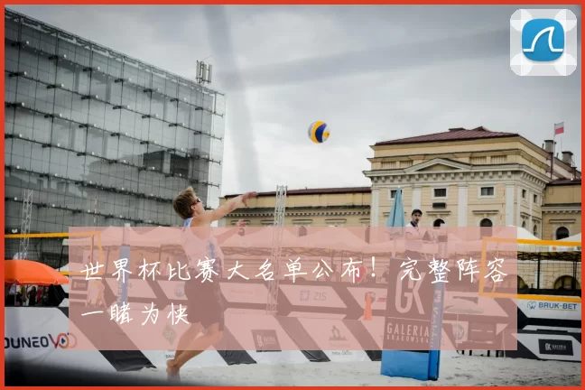 世界杯比赛大名单公布！完整阵容一睹为快