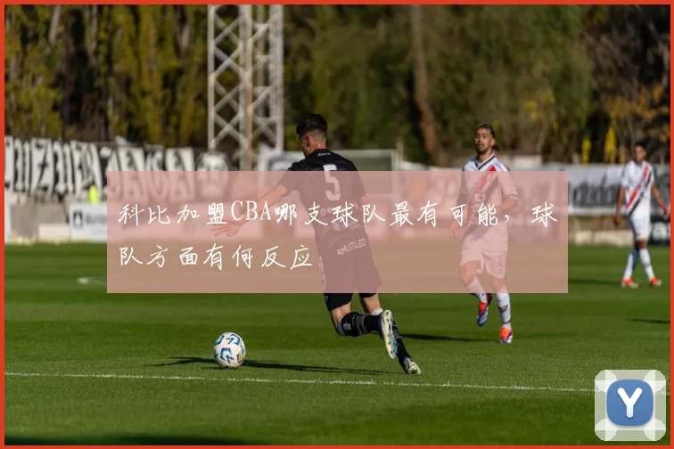 科比加盟CBA哪支球队最有可能,球队方面有何反应