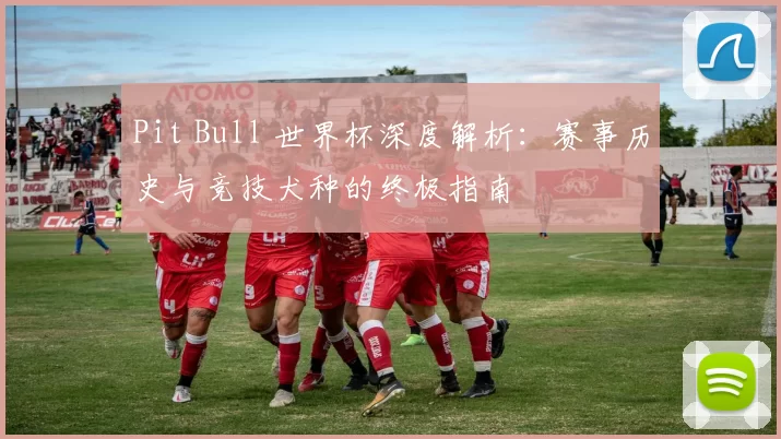 Pit Bull 世界杯深度解析:赛事历史与竞技犬种的终极指南