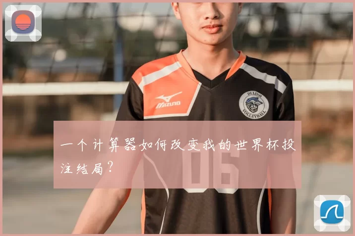 一个计算器如何改变我的世界杯投注结局？