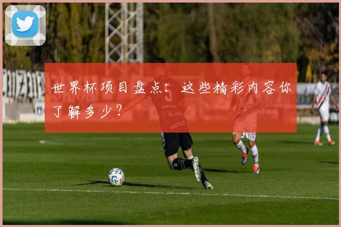 世界杯项目盘点:这些精彩内容你了解多少?
