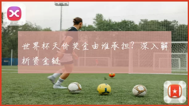 世界杯天价奖金由谁承担？深入解析资金链