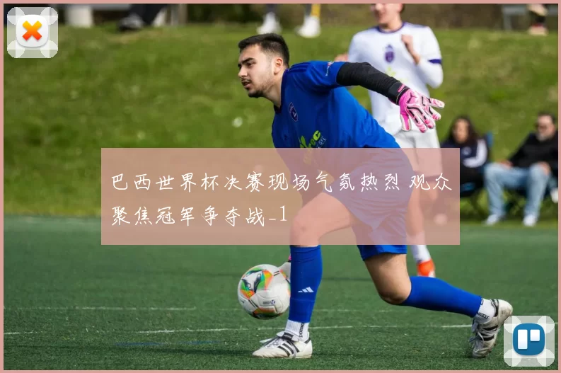 巴西世界杯决赛现场气氛热烈 观众聚焦冠军争夺战_1